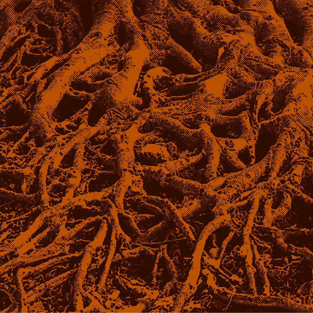 Systemic sustainability